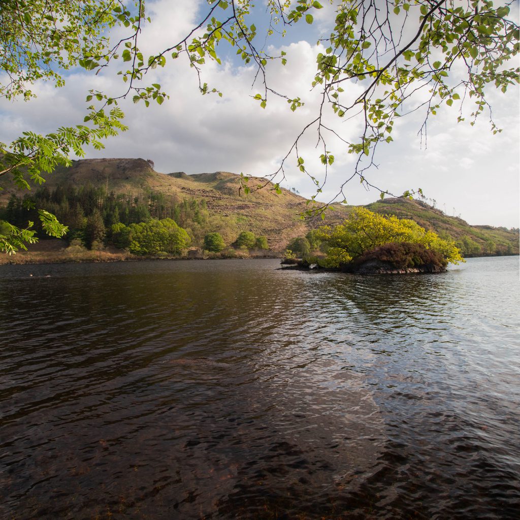 The Loch at the site